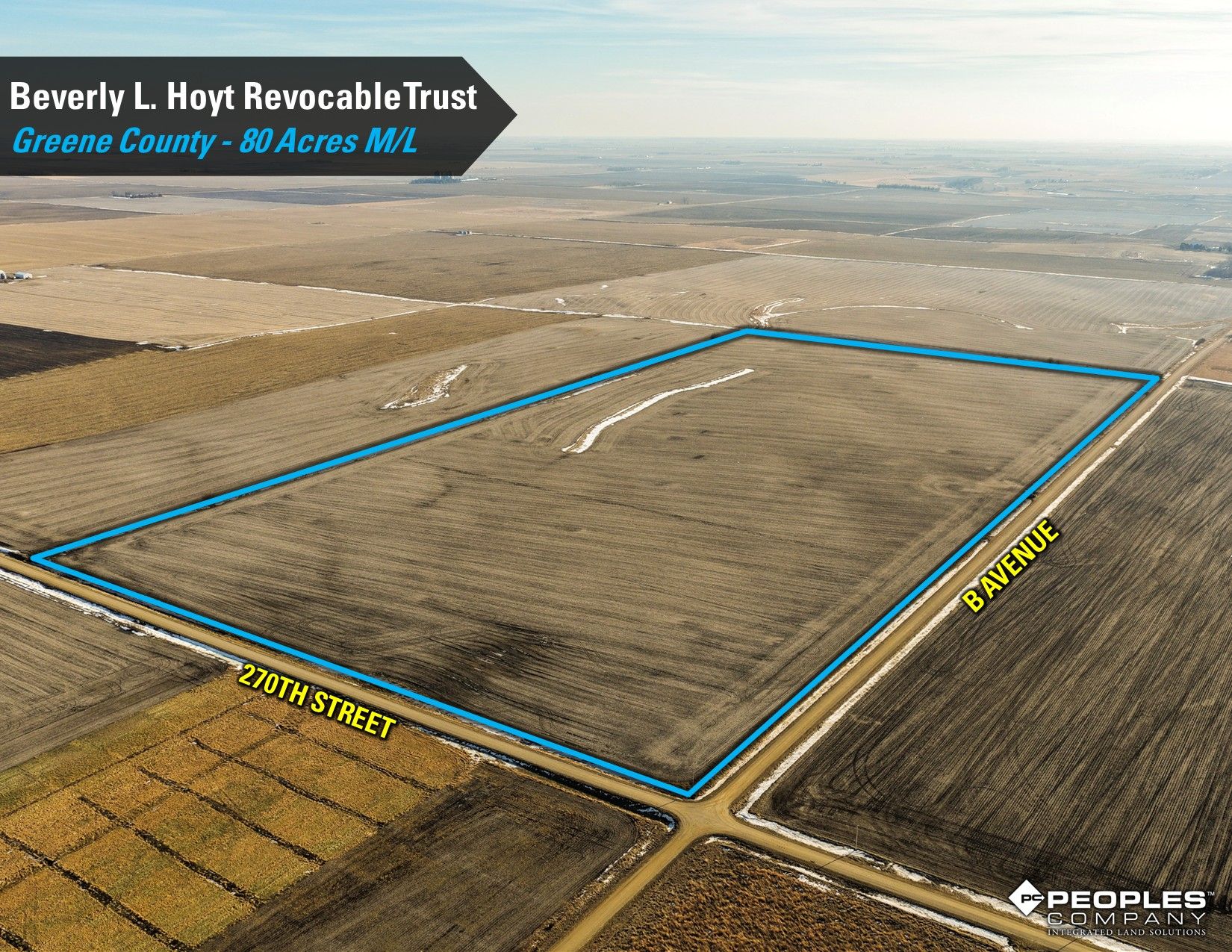 Listing Photo: Hoyt-Trust-Greene-County-Iowa-80Acres-Scranton-18837 (4)